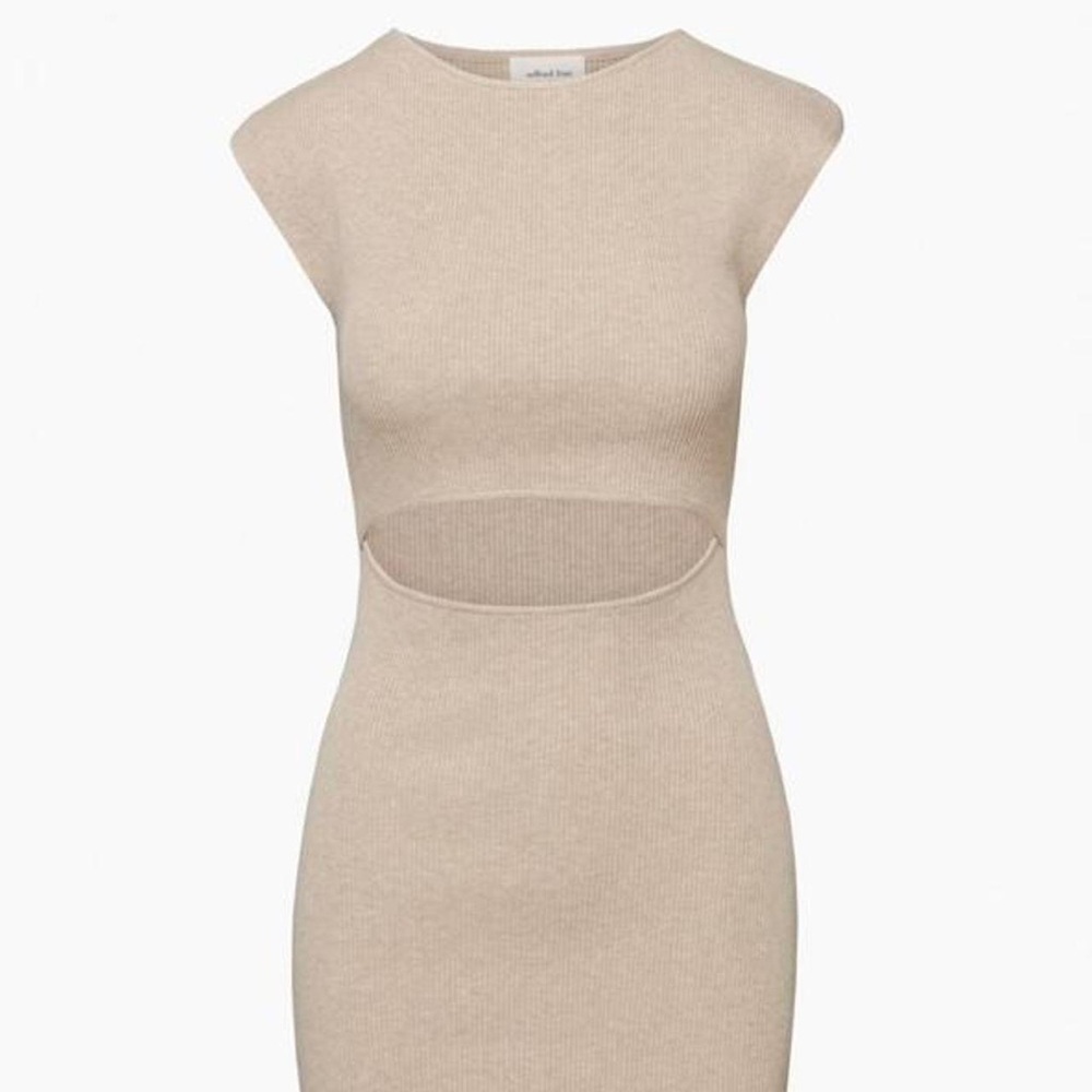 Wilfred / Aritzia Dress
